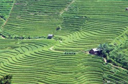 Topas Ecolodge Sapa